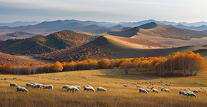 木蘭圍場(chǎng)-界河-烏蘭布統(tǒng)大草原3日