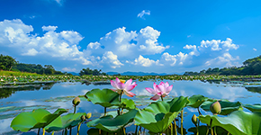 泛舟白洋淀-小嘎子爆笑樂(lè)翻天2日游