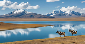 【甄西藏】第三極雙臥11日