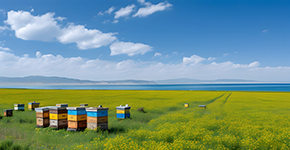 霸道甘南-心域朝圣雙飛雙高8雙臥10日